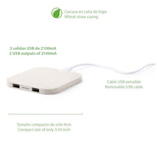 Dam Electronics Riens Qi kabellos ladestation Weizenstroh Doppel USB