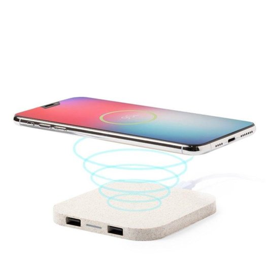 Dam Electronics Riens Qi kabellos ladestation Weizenstroh Doppel USB