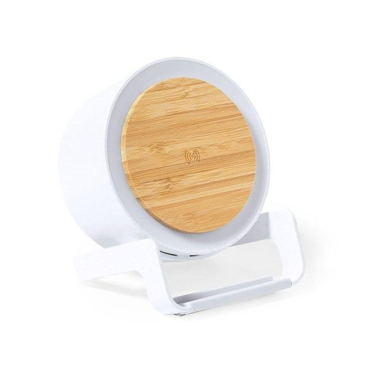 Multifunktionale Lampe Ladegeraet Dam Electronics 10W 12 LEDs
