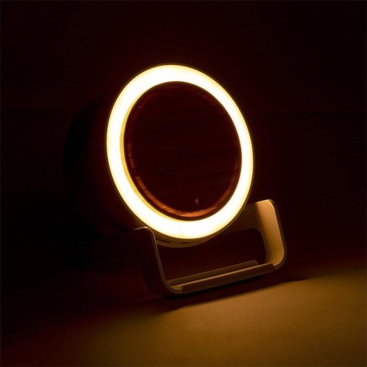 Multifunktionale Lampe Ladegeraet Dam Electronics 10W 12 LEDs