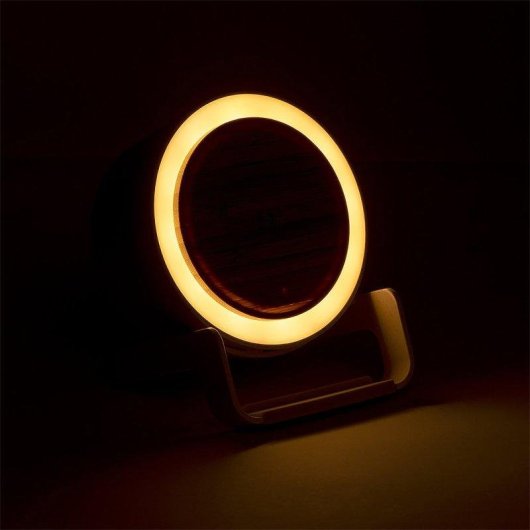 Multifunktionale Lampe Ladegeraet Dam Electronics 10W 12 LEDs