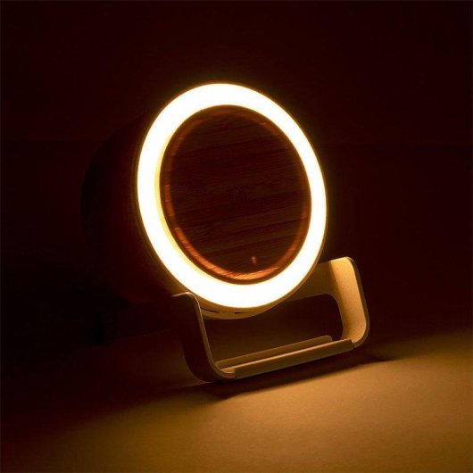 Multifunktionale Lampe Ladegeraet Dam Electronics 10W 12 LEDs