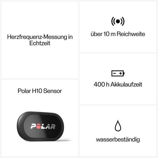 Moniteur frequence cardiaque equin Polar Equine Bluetooth