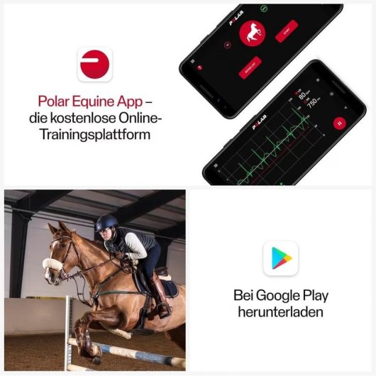 Moniteur frequence cardiaque equin Polar Equine Bluetooth