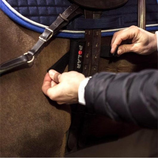 Ceinture cardio Polar Equine Noir Textile Reglable