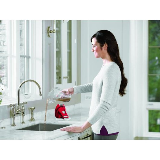 Aspirapolvere senza Sacco Bissell CrossWave Essential 560W Rosso Titanio