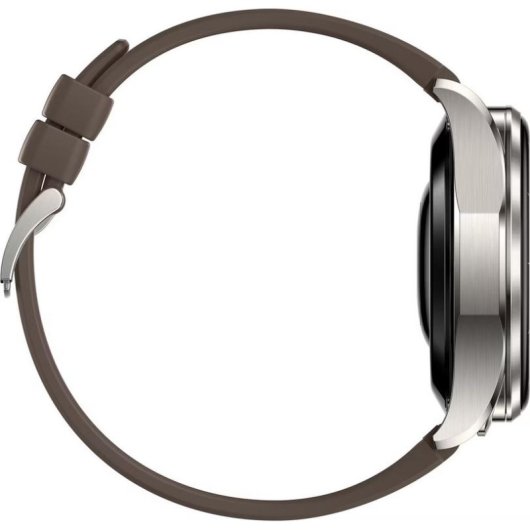 Huawei Watch Buds 2 Bluetooth GPS NFC 47mm Titan Braun Einheitsgröße IP54