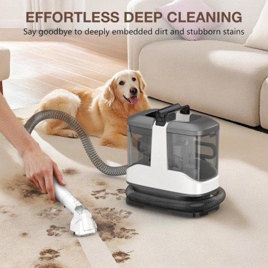 Aspiradora de Tapicerías Teendow C3 450W 12000Pa 1000ml Ligera y Compacta