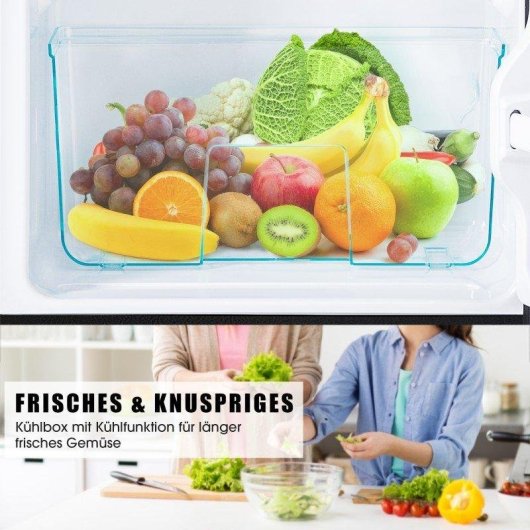Frigorífico Dos Puertas Welltin Compacto 86,8cm 60L E Negro