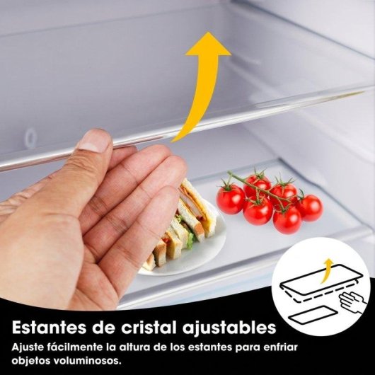 Frigorífico Mini Rolipo Dos Puertas ES314740SAA Defrost 91cm 72L E Negro