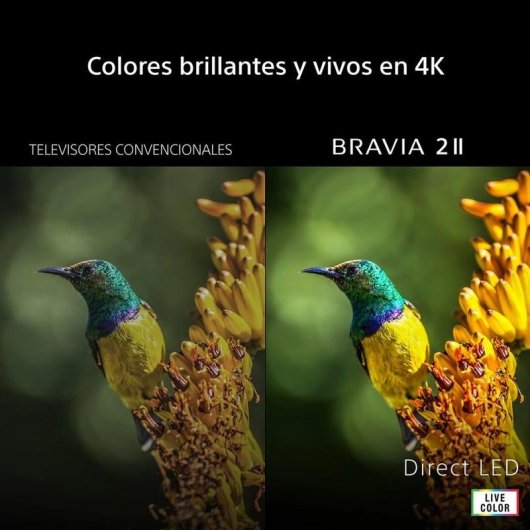 TV Sony LED K-43S25M2 43" 4K UltraHD 60Hz Smart TV Google TV HDR10 Dolby Atmos