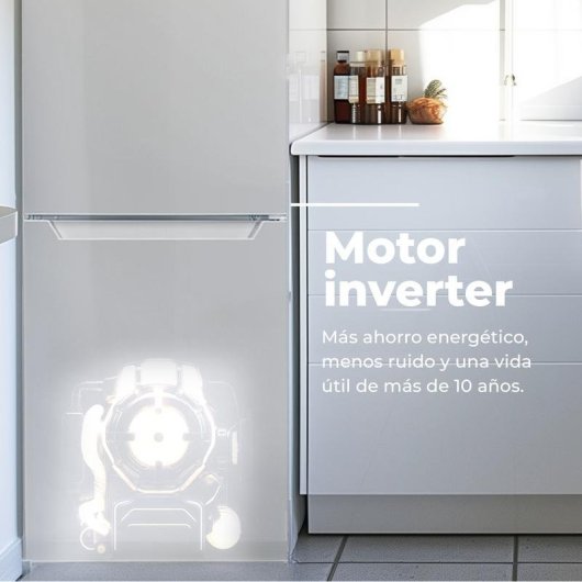 Frigorífico Combi Evvo F52X Total No Frost 180cm 250L E Inox