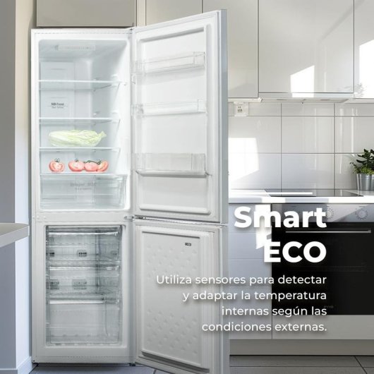 Frigorífico Combi Evvo F52X Total No Frost 180cm 250L E Inox