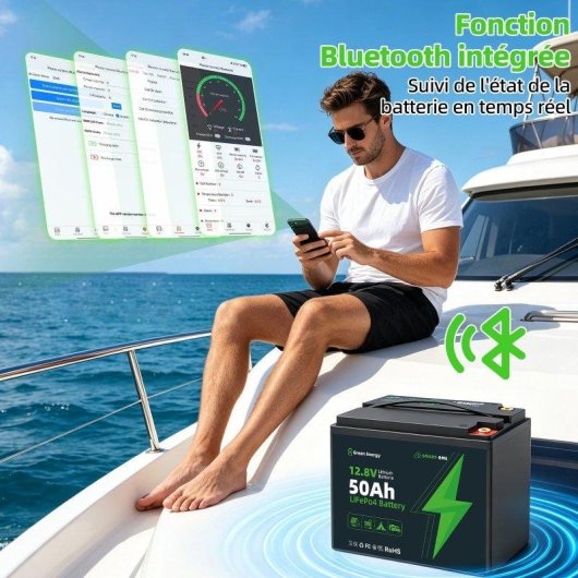 Stazione di energia Blossom BZ0028-MINI-50Ah 640Wh Batteria LiFePO4 Bluetooth IP67