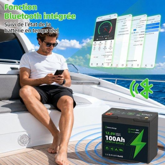 Stazione di energia Blossom BZ0028-MINI-100Ah 1280Wh Batteria LiFePO4 Bluetooth IP67