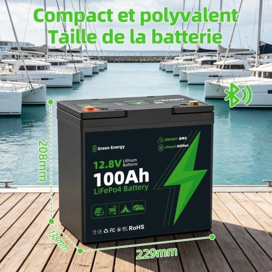 Stazione di energia Blossom BZ0028-MINI-100Ah 1280Wh Batteria LiFePO4 Bluetooth IP67