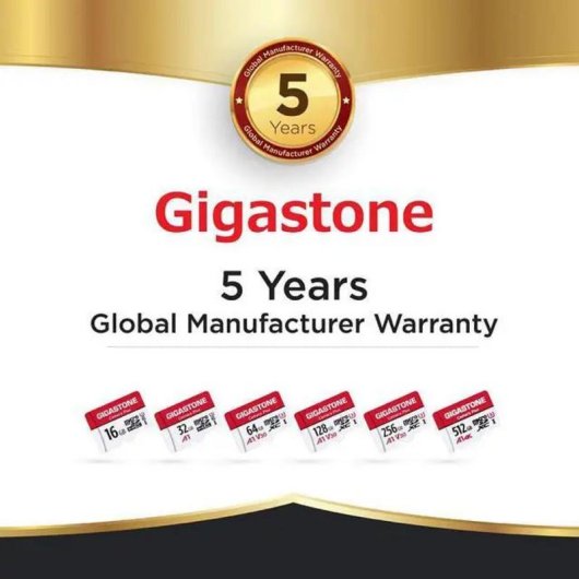 Carte microSD Gigastone 32GB Camera Plus haute vitesse et résistance