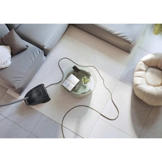 Aspiradora con Bolsa Hoover HE1P00HM 011 700W 2,5L EPA Luxor Black
