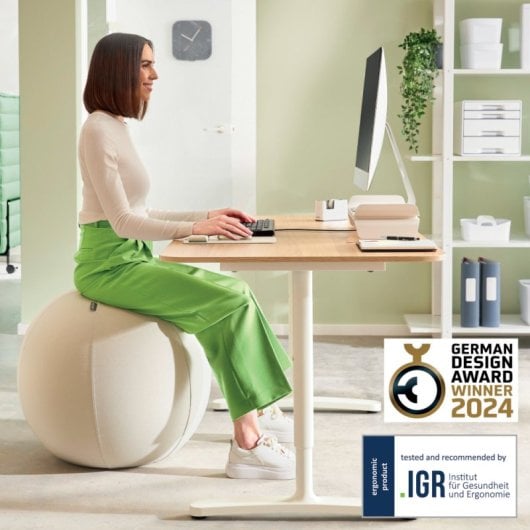 Bola de assento Leitz Ergo Active 65cm Cinza Antiderrapante