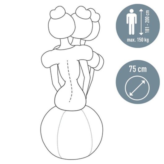 Balón de asiento Leitz Ergo Active 65cm Gris Antideslizante