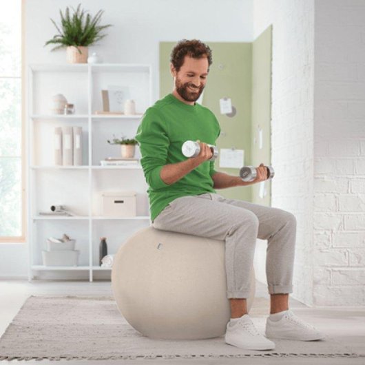 Balón de asiento Leitz Ergo Active 65cm Gris Antideslizante
