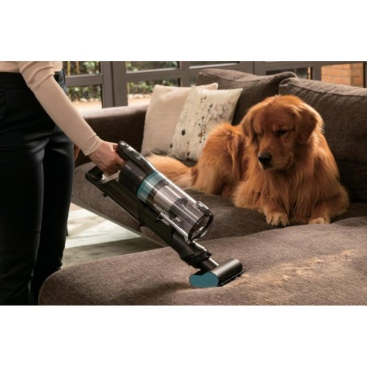 Aspiradora sin Bolsa Hoover HF1P10PX 165W 45 min Cepillo Motorizado Negro Turquesa