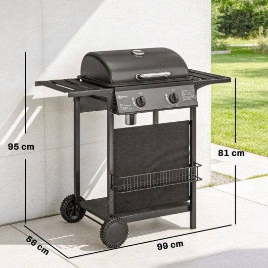 Barbacoa de Gas Welltin 2 Quemadores 5 kW con Termómetro y Ruedas
