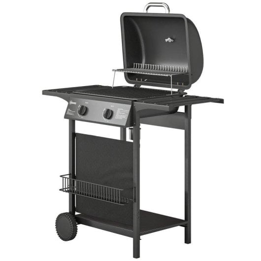 Barbacoa de Gas Welltin 2 Quemadores 5 kW con Termómetro y Ruedas