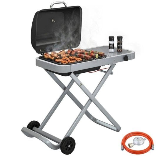 Barbacoa de Gas Plegable Portátil Welltin 2,5 kW con Ruedas y Termómetro