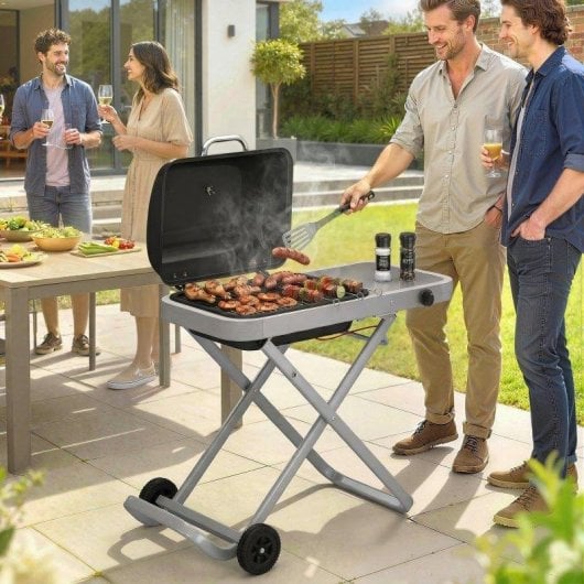 Barbacoa de Gas Plegable Portátil Welltin 2,5 kW con Ruedas y Termómetro