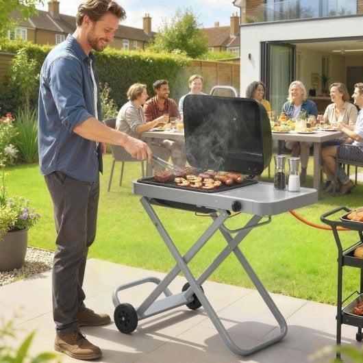 Barbacoa de Gas Plegable Portátil Welltin 2,5 kW con Ruedas y Termómetro