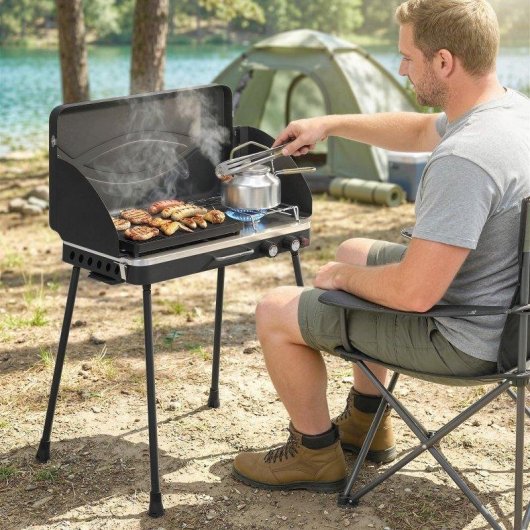 Barbacoa de gas portátil Welltin 2 en 1 Propano 7 kW Negro