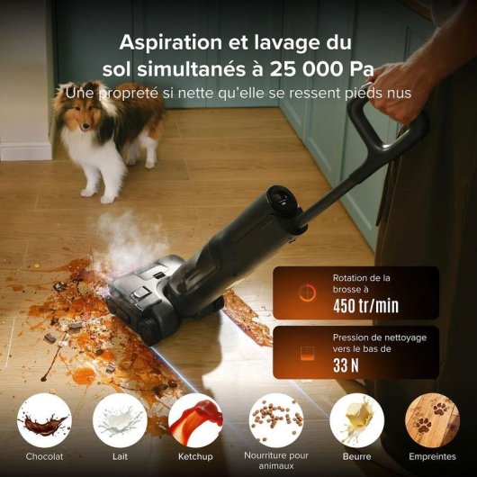 Aspirateur sans Fil Roborock F25 Steam 280W 80 min Autonettoyage Sec et Humide Noir