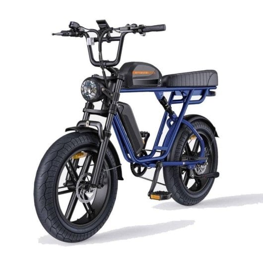 Velo Electrique Engwe M1 250 W Double Batterie 48 V 20 pouces