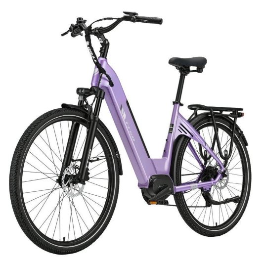 Elektrisches Fahrrad TTGO C7 SE Motor 250 W