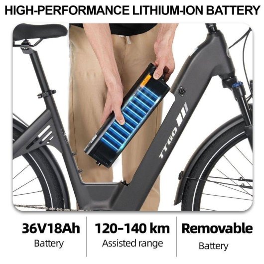 Elektrisches Fahrrad TTGO C7 SE Motor 250 W