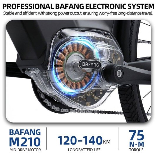 Bicicleta eléctrica TTGO C7 SE Motor 250W Batería 36V 18Ah