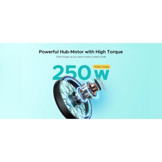 Bicicleta Eléctrica ENGWE E26 ST Motor 250W Batería 48V Neumáticos Todoterreno