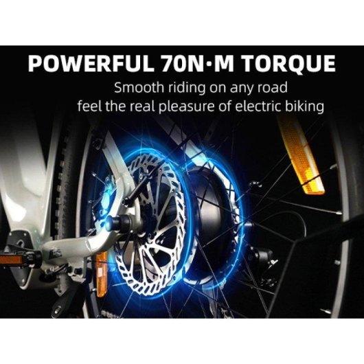 Bicicleta Eléctrica TTGO Z3 Motor 250W Batería 48V 15 Ah