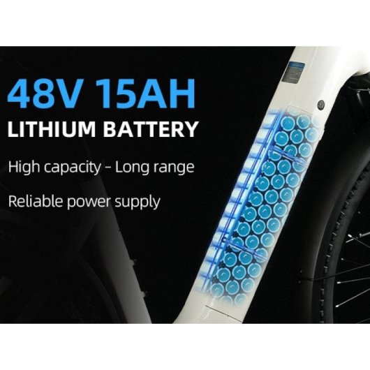Bicicleta Eléctrica TTGO Z3 250W 48V 15Ah Gris