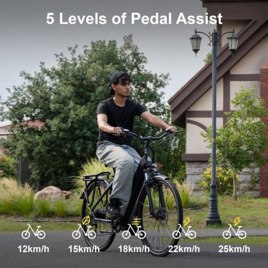 Bicicleta eléctrica TTGO HZ-28ST Motor 250W Neumáticos 27,5" Todoterreno Batería 36V 20Ah
