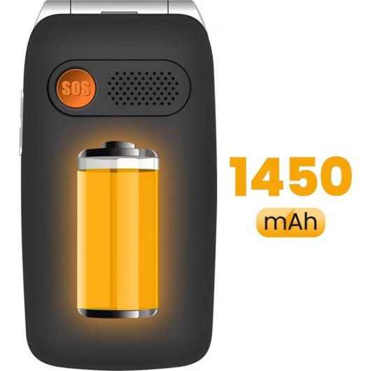 Avizar TEL-V202-BK 4G Klapphandy mit Doppelbildschirm Schwarz