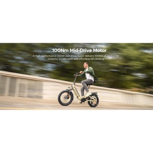 Vélo électrique ENGWE L20 3.0 PRO 250W Batterie 48V 15Ah Pneus 20"