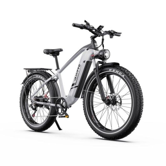 Velo electrique DUOTTS F26 Lite 250 W 48V 18Ah