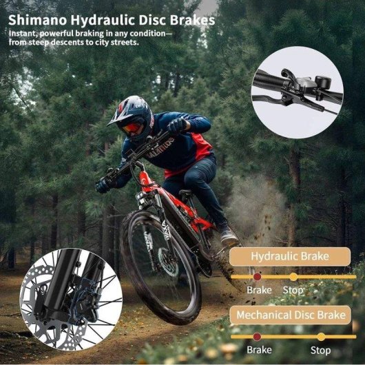Velo electrique Duotts E29 250 W Batterie 48 V 13,5 Ah