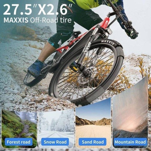 Velo electrique Duotts E29 250 W Batterie 48 V 13,5 Ah