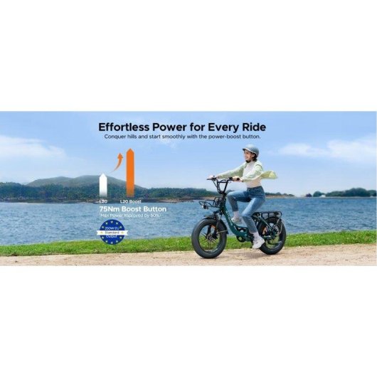 Velo Electrique Engwe L20 Boost 250W 48V 13Ah