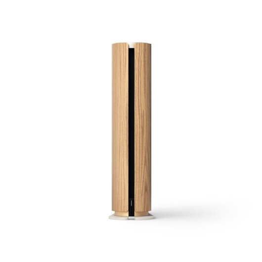 Altoparlanti Bang & Olufsen Beosound Emerge wireless e cablati 15W marrone