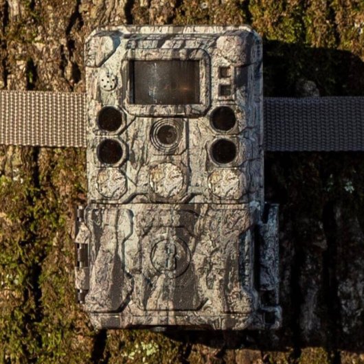 Fototrappola Bushnell CORE S-4K 30 MP Camouflage LED Nera