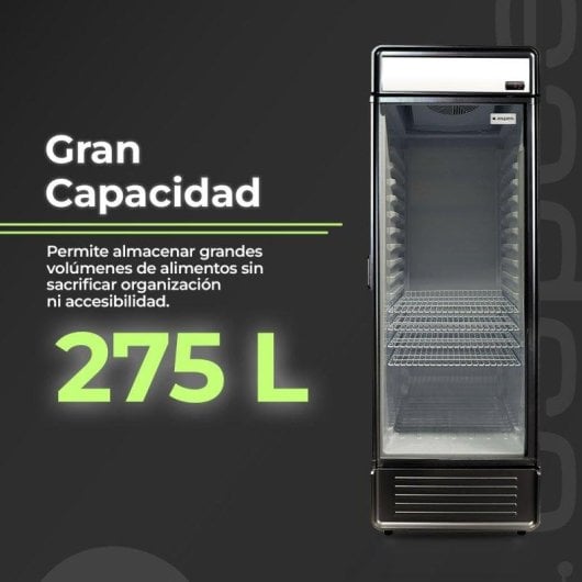 Frigorífico Una Puerta Aspes ARH1755500ENF Ventilado 175,2cm 275L E Negro Display LED